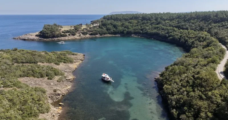 Yüzde 70 i ormanlarla kaplı Sinop temiz havasıyla ziyaretçilerine nefes oluyor