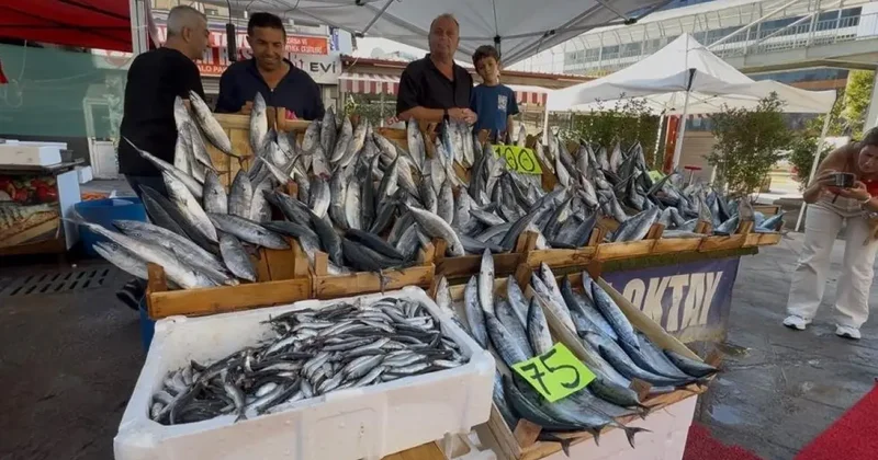 Palamut sezonu başladı: Tanesi 100 TL!