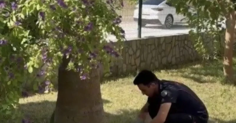 Havalandırma boşluğuna düşen 3 yavru kediyi itfaiye kurtardı