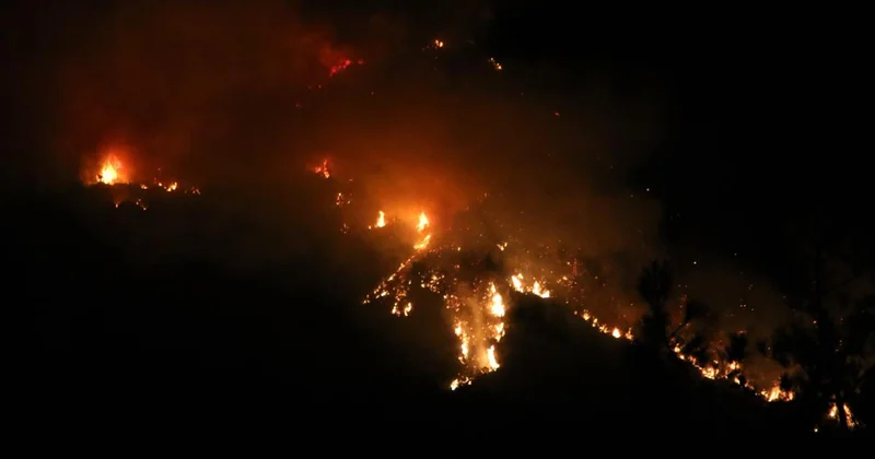 WMO: Orman yangınları ve sıcaklar, küresel hava kalitesini iyileştirme çabalarını baltalama riski taşıyor