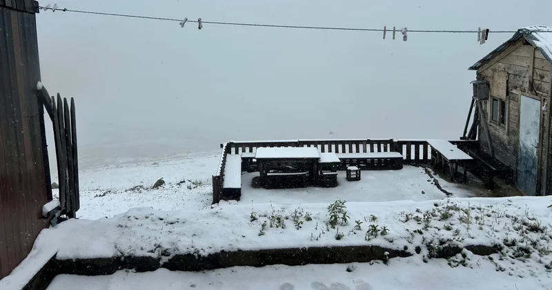 Görüntüler Rize den! Kentin yükseklerine kar yağdı! Son dakika haberleri