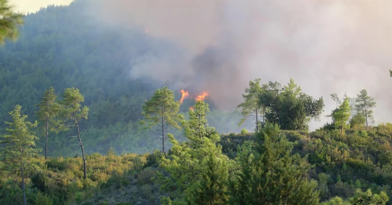 Antalya Serik teki yangının enerjisi düşürüldü