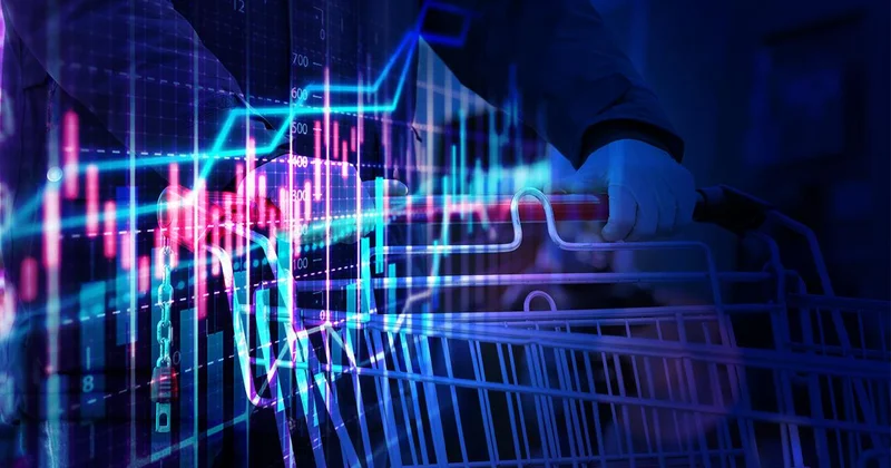 Yeni OVP ile dezenflasyon sürecinin devamı hedefleniyor