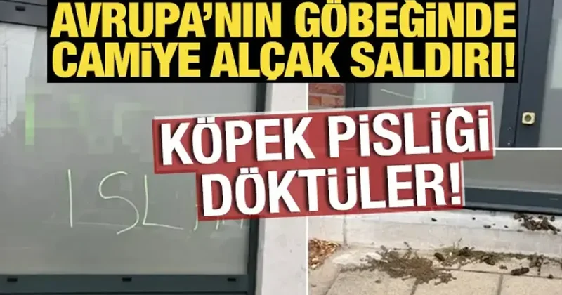Avrupa nın göbeğinde camiye alçak saldırı! Köpek pisliği döktüler