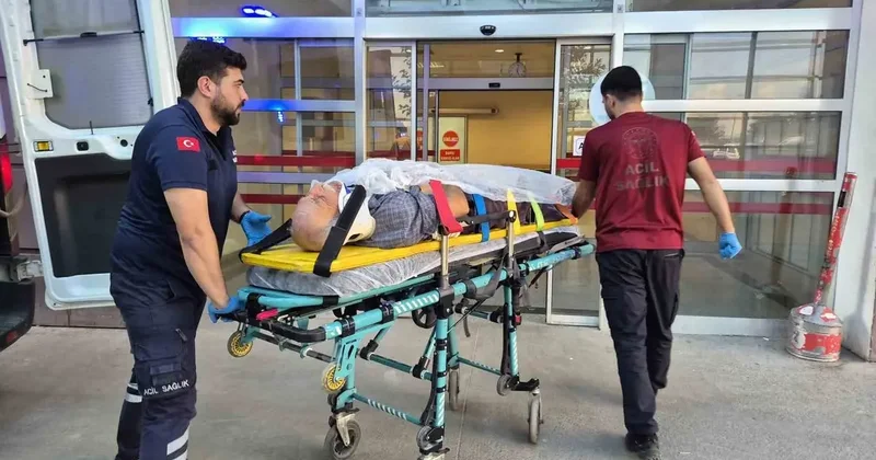 Ağaç keserken düşen yaşlı adam yaralandı