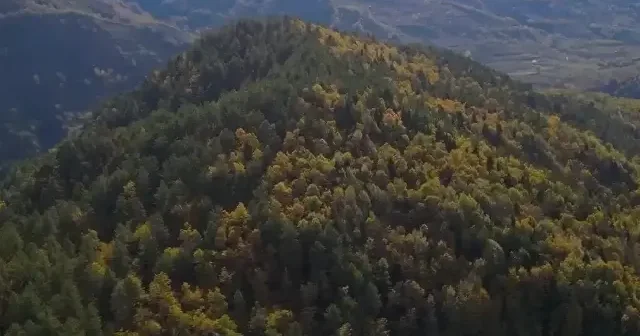 Güzeldere Şelalesi Tabiat Parkı nda sonbahar güzelliği VİDEO İZLE
