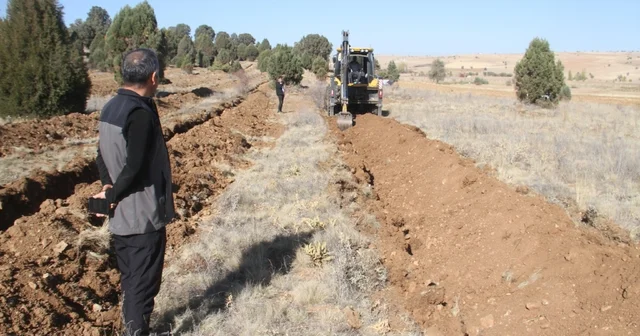 Beyşehir de 11 bin orman fidanı daha toprakla buluşturulacak Konya Haberleri