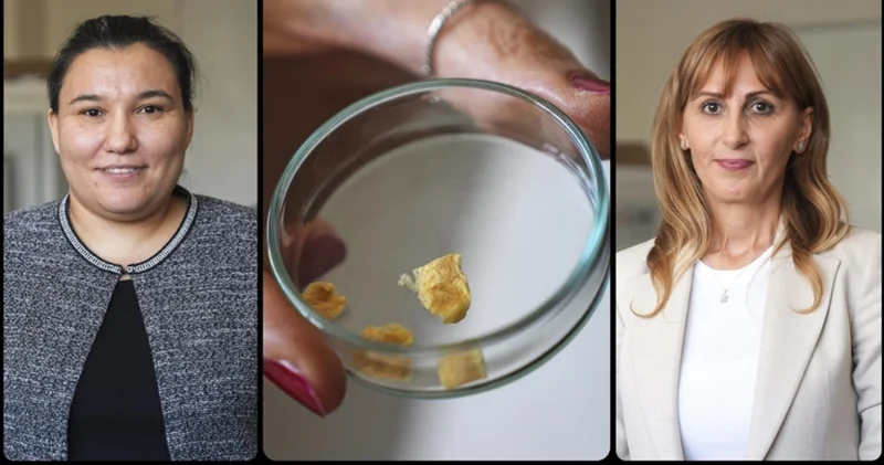 Balık kılçığı yüksek kaliteli kolajene dönüştürüldü Sağlık Haberleri