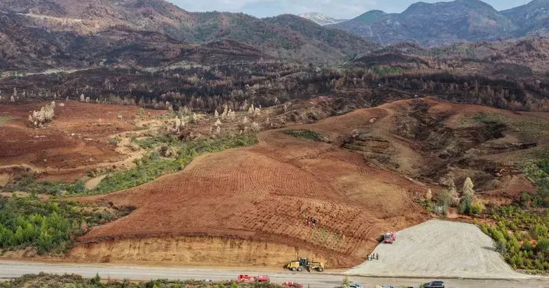 Aydın’da 17 lokasyonda fidan dikilecek