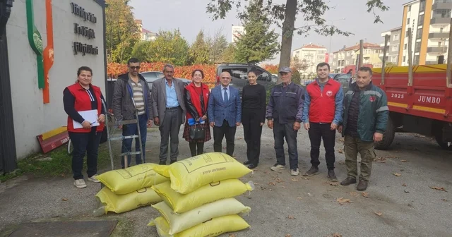 19 Mayıs ilçesinde Altındaneler Toprakla Buluşuyor Projesi uygulanıyor Samsun Haberleri