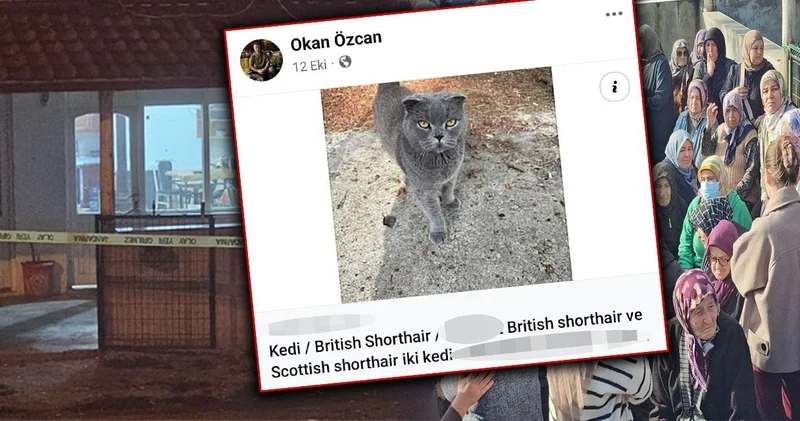 Cins kedi satıp tüfek aldı 2 kişiyi öldürdü!