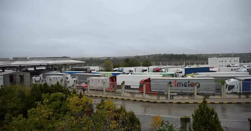 Kapıkule’de rekor geçiş: 1 saatte 96 tır işlem gördü