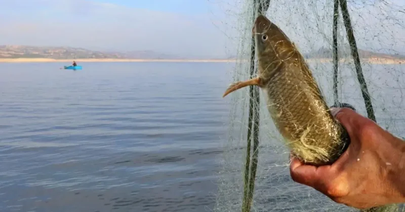 Kaçak balık avı pahalıya patladı