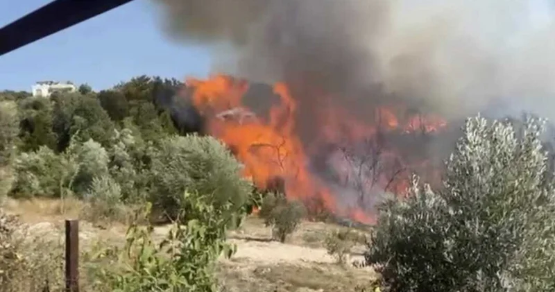 Osmaniye de orman yangını: Kısa sürede büyüdü, ekipler müdahale ediyor