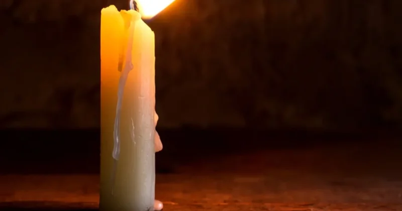 Uzun bir ömür için bu 4 şeyi evden hemen çıkarın Sözcü Gazetesi