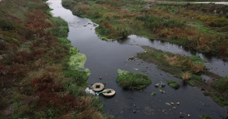 Kaz Dağları ndan Marmara Denizi ne kadar dökülen çayda kırmızı alarm Sözcü Gazetesi