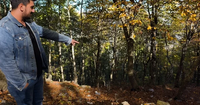 Amanos Dağları ndaki sonbahar renkleri şölenine çöp yığını gölgesi Osmaniye Haberleri