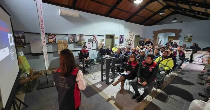 Çanakkale’de kahve rengi kokarcalarla 4 bin samuray arısı mücadele edecek