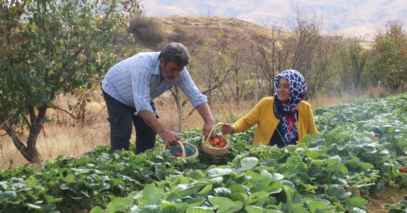 Hobi olarak başladı, şimdi siparişlere yetişemiyor: Ailesinin geçim kaynağı oldu Sözcü Gazetesi