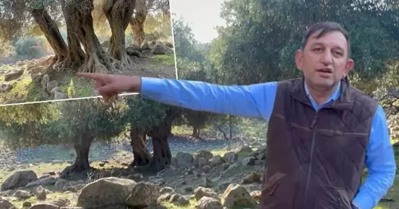 Dünyada sadece 4 ülkede yetişiyor biri Türkiye’de! Gizemi hala çözülemedi