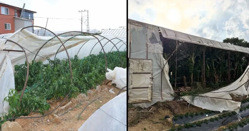 Mersin de fırtına ve hortum: Seralar yerle bir oldu