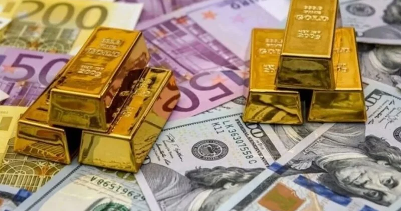 TÜİK açıkladı: Ekim ayında en çok hangi yatırım aracı kazandırdı?