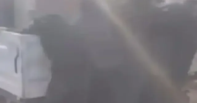 Diyarbakır’da tehlikeli yolculuk: Pikabın arkasına tutunan çocuklar paniğe neden oldu VİDEO İZLE