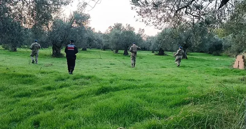 Balıkesir de zeytin hırsızlığına karşı jandarma ve komandolar sahada