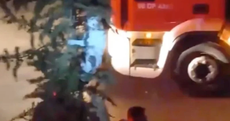 Mahsur kalan kedi için Ankara seferber oldu