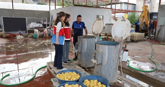 Sağlıksız şartlarda patates dilimleyen işletme mühürlendi 1 ton soyulmuş ve doğranmış patates imha edildi Antalya Haberleri