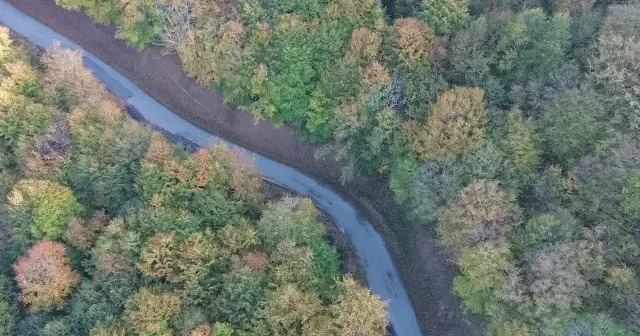 Yunt Dağı sonbaharın sarısına büründü: Manzara büyüledi VİDEO İZLE
