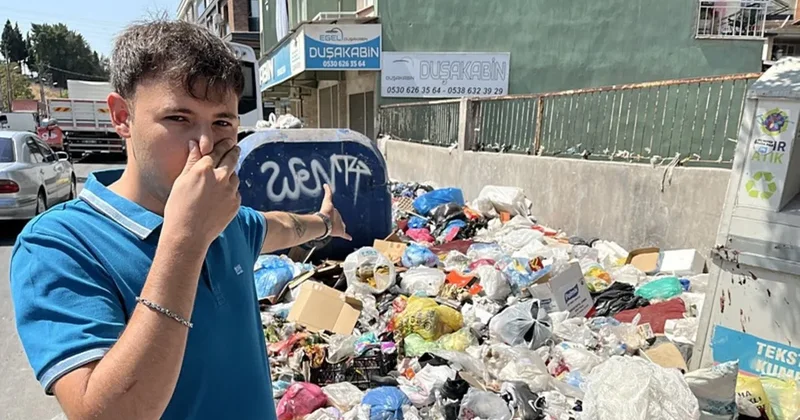 İzmir de çöp krizi sinek istilasına dönüştü: Sağlığı tehdit ediyor! Enfeksiyon oluşturabilir’