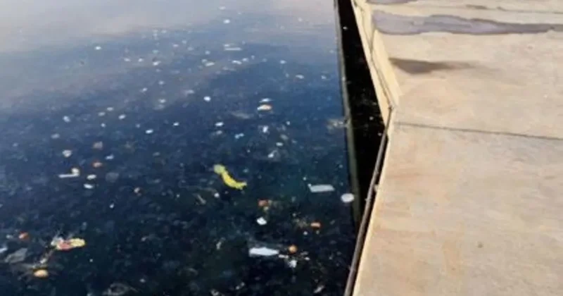 İstinye Koyu’nda kahreden manzara