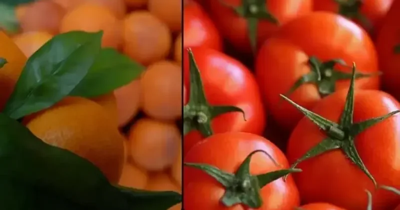 İstanbul da ekimde en çok mandalina ve domates tüketildi Türkiye Ekonomisi Haberleri