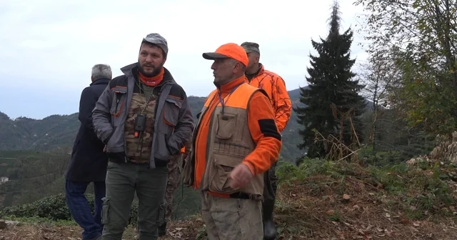 Rize de ayı için sürek avı başlatıldı Rize Haberleri