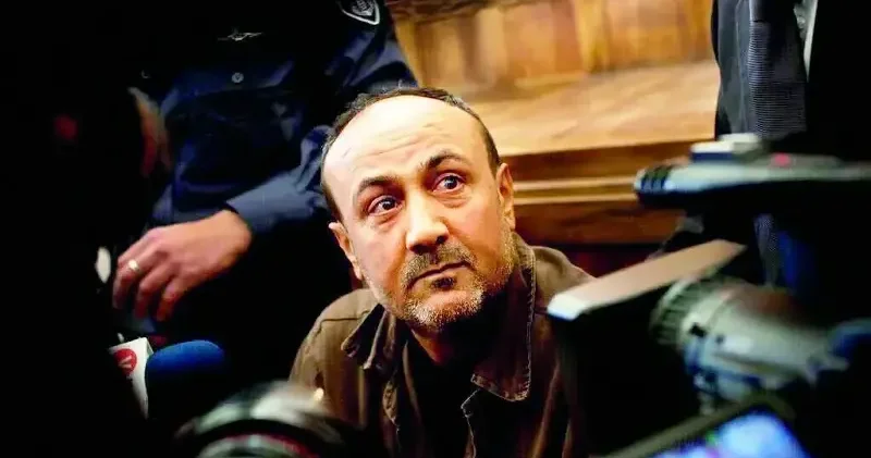 Bergusi ye ölümüne işkence Dünya Haberleri