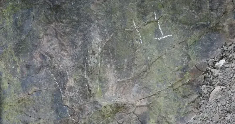 Çin de yüzlerce milyon yıllık keşif: Yürüyüş yapan bir kişinin fark ettiği izler tarihe ışık tutuyor Bilim Haberleri