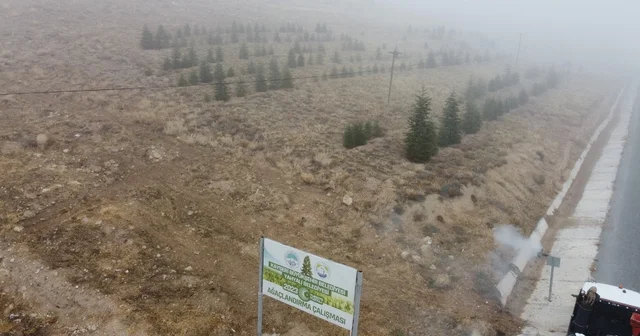 Yahyalı ya bin 200 fidan dikildi Kayseri Haberleri