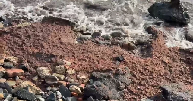 Tekirdağ da poyraz kızıl yosun sürükledi Tekirdağ Haberleri