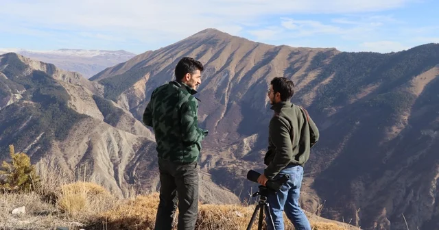 Erzurum un 5 ilçesinde yaban keçisi envanter çalışması Erzurum Haberleri