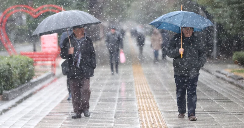 Son dakika: Sağanak bekleniyor! Gözler kuraklığın etkisindeki Marmara da! Son dakika haberleri