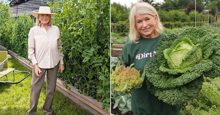Yıllardır çiftliğinde atları ve eşekleriyle yaşıyor… Ünlü sunucu kararını çoktan vermiş: Ölünce beni onların yanına gömün!