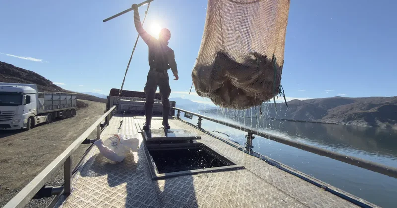 Denizi olmayan şehirden Japonya ve Avrupa ya somon ihracatı
