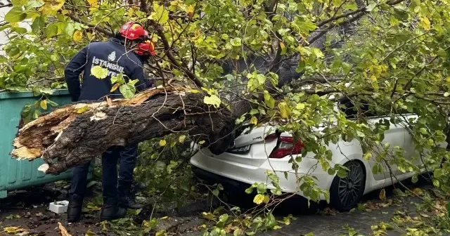 Beyoğlu nda park halindeki aracın üzerine ağaç devrildi VİDEO İZLE