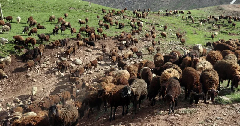 Halk Elinde Islah Projeleri ne 2,7 milyar lira destek sağlandı