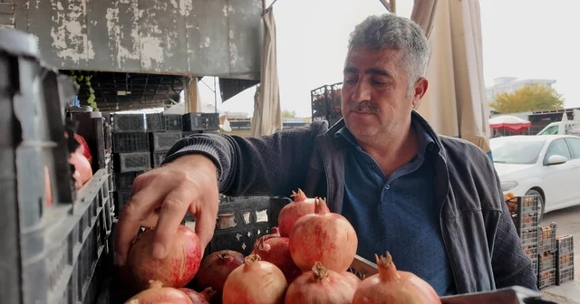 Kuraklık Zivzik narında verimi yarı yarıya düşürdü Siirt Haberleri