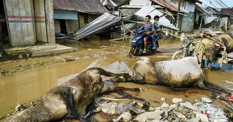 Endonezya’da sel sonrası açlık krizi
