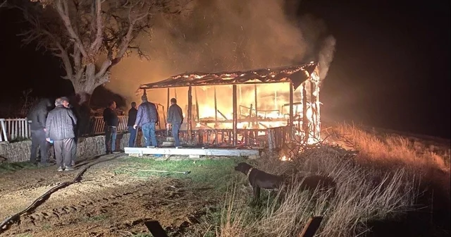 Bilecik te mangal ateşiyle çıkan yangın itfaiye ekiplerince söndürüldü Bilecik Haberleri