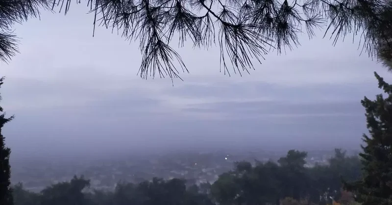 Aydın’da puslu sabah manzaraları mest etti