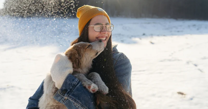 Patileri koruyun! Kış hastalıklarına karşı evcil hayvanlarınızı soğuktan korumanın ve sağlıklı tutmanın yolları!